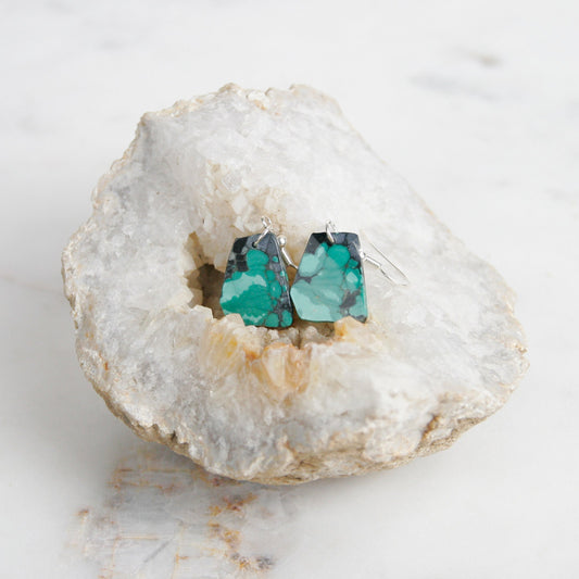 Unique Turquoise Earrings